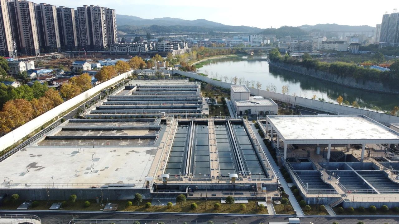 1733363788653513.jpg 1733363788653513.jpg